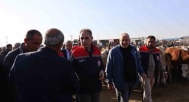 Kars Hayvan Pazarı'nda sıkı denetim: Hayvan hareketliliğine sağlık ve güvenlik filtresi