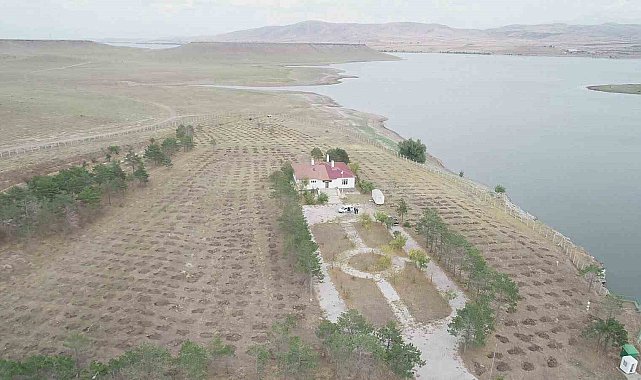 Kars'ta "Yeşil Vatan" için kurumlar güçlerini birleştirdi
