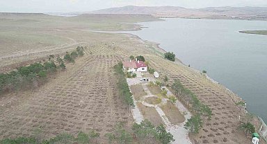 Kars'ta "Yeşil Vatan" için kurumlar güçlerini birleştirdi