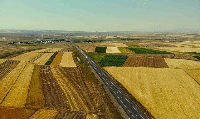 Kars'ta tarım arazileri havadan görüntülendi: Tarlalar halı ve kilim desenlerini aratmadı