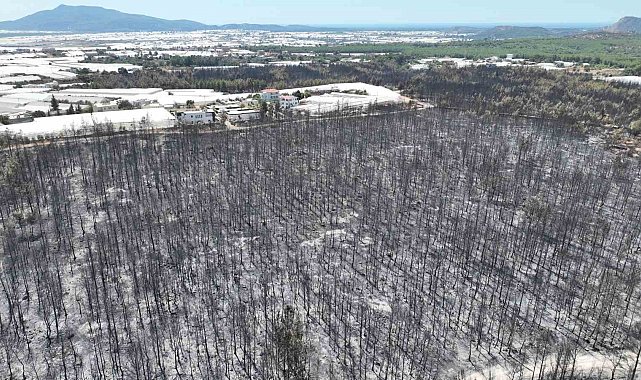 Kaş'ta orman yangınında zarar gören alanlar görüntülendi
