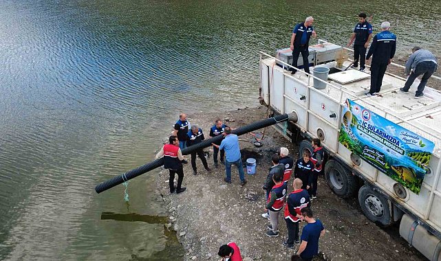 Kastamonu'da göletlere 800 bin sazan balığı yavrusu salındı