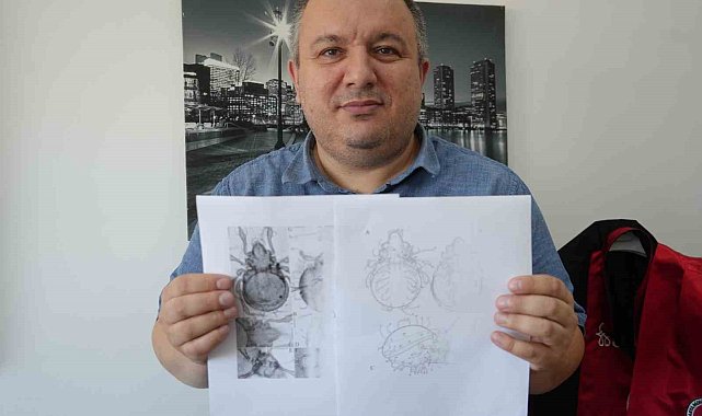 Kastamonu'da tespit edilen yeni akar türü bilim literatürüne kazandırıldı