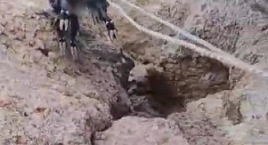 Kayalıklarda mahsur kalan keçiler kurtarıldı