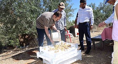 Kaymakam Battal, incir hasadında üreticilerle bir araya geldi