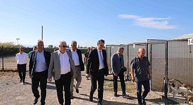 Kaymakam Zafer Engin, Sokak Hayvanları Bakım ve Rehabilitasyon Merkezi'ni ziyaret etti