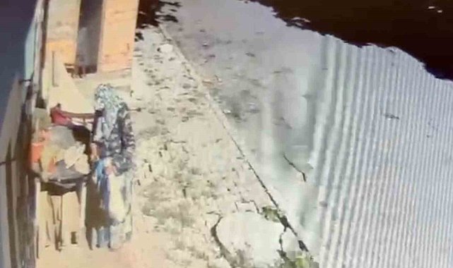 Kaynanasının en sevdiği çiçek çalındı: "Teyzenin yapacağı aklımızdan geçmezdi"