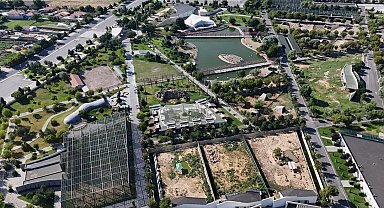 Kayseri Hayvanat Bahçesi'ne 59 yeni üye