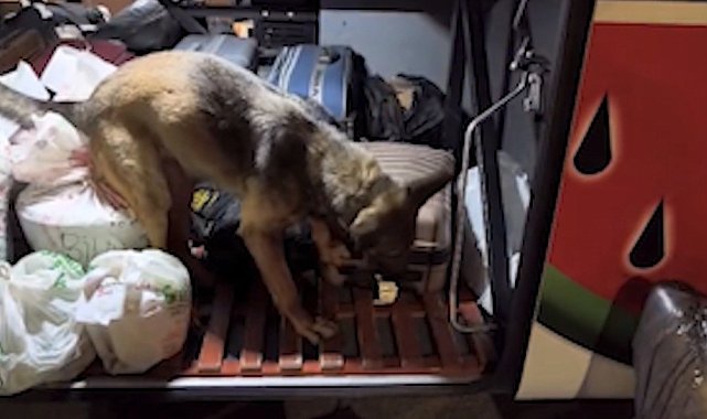 Kayseri'de yolcu otobüsü operasyonu: 3 kilo 420 gram uyuşturucuyla yakalanan 2 şüpheli tutuklandı