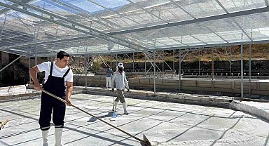 Kemah Kaymakamı Tutay, tuz hasadına katıldı