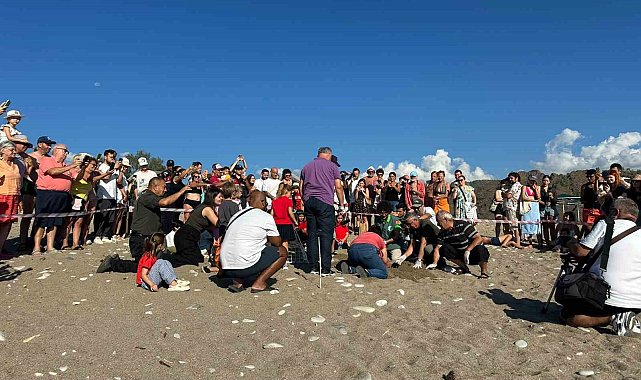 Kemer'de son caretta caretta yuvası açıldı