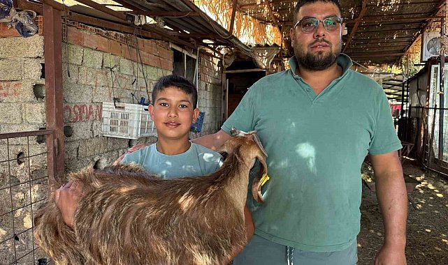 Kendisi küçük yüreği büyük; Besleyip büyüttüğü oğlağını yangın yerinden sırtında taşıyarak götürdü