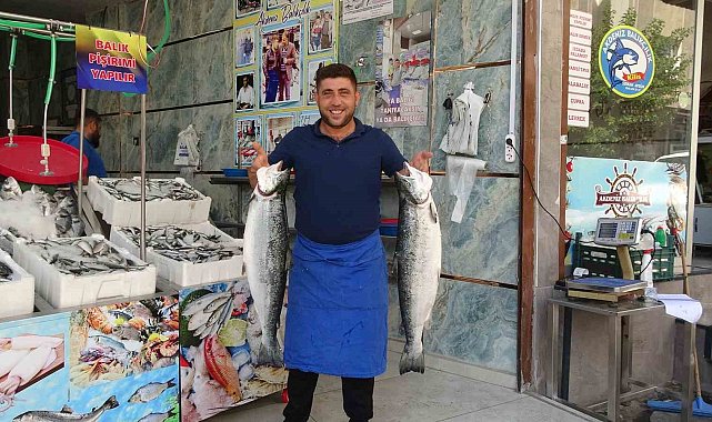 Kilis'te balık sezonu açıldı, tezgahlar çeşitlendi