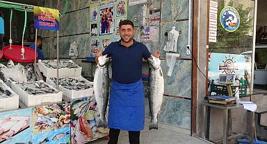 Kilis'te balık sezonu açıldı, tezgahlar çeşitlendi