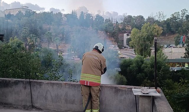 Kırıkhan'da bahçe yangını büyümeden söndürüldü