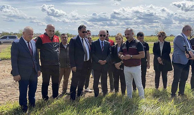 Kırklareli'nde meralar toprak altı damlama sulama sistemi ile verimliliği arttırılacak