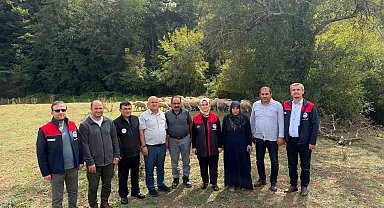 Kırsalda bereket, küçükbaşa destek