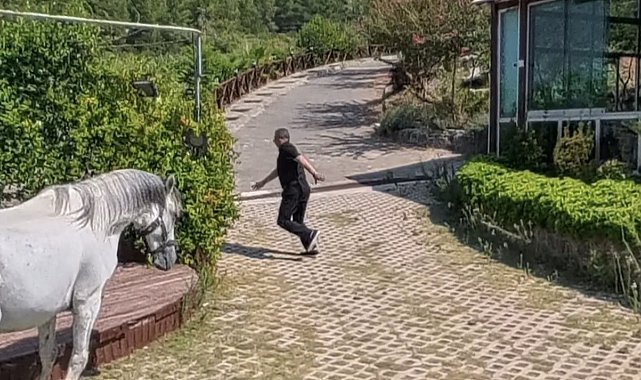 Klip çekiminde atın altında kalmaktan son anda kurtuldu