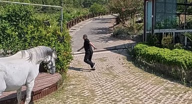 Klip çekiminde atın altında kalmaktan son anda kurtuldu