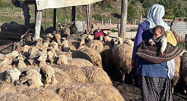 Konargöçer ailelerin ömrü yaylalarda geçiyor