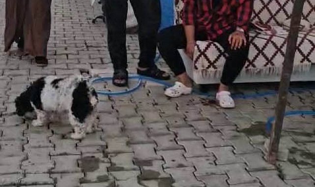 Konteyner kentte imam nikahlı koca dehşeti: Karısı ve kızıyla birlikte toplam 4 kişiyi palayla yaraladı