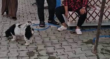 Konteyner kentte imam nikahlı koca dehşeti: Karısı ve kızıyla birlikte toplam 4 kişiyi palayla yaraladı