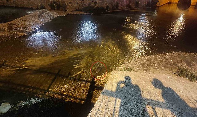 Konya'da su samuru sürprizi