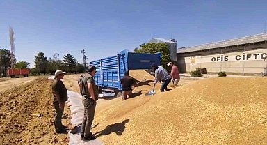 Konya'da TMO'dan 2 milyon tona yakın hububat alımı