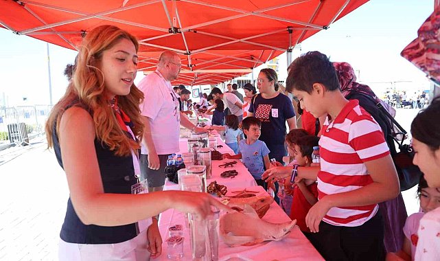 Korkuyla yaklaşıyorlar, ayrılmak istemiyorlar