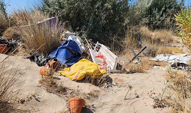 Koruma altındaki kum zambakları çöplerin arasında kaldı