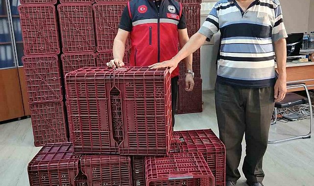 Köşk'te incir üreticilerine hibeli kasa desteği