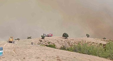 Kozan'da orman yangını: 5 helikopter, 2 uçakla mücadele sürüyor