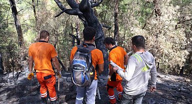 Kozan'da yanan 5 bin 900 hektarlık alanda yeniden yeşil vatan mesaisi başladı: Ağaçlar tek tek damgalanıyor