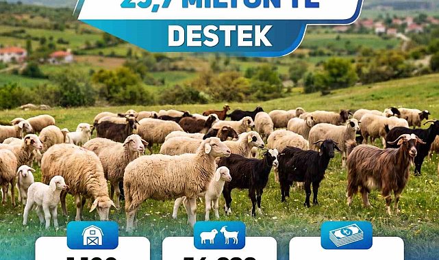 Küçükbaş üreticisine 25,7 milyon liralık can suyu
