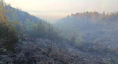 Kumluca'daki orman yangını kısmen kontrol altında