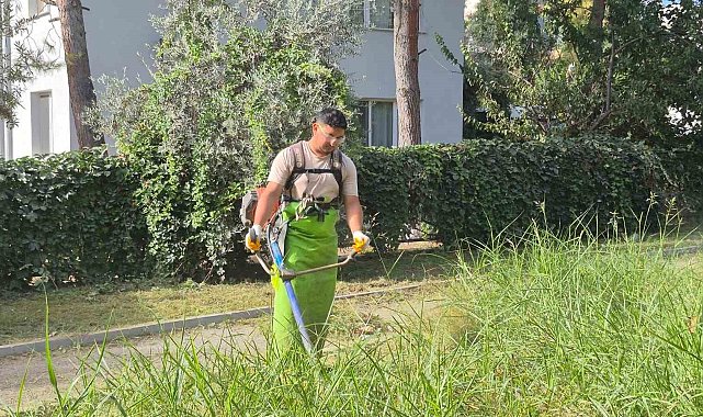 Kuşadası'nda yeşil alanlar bakıma alındı