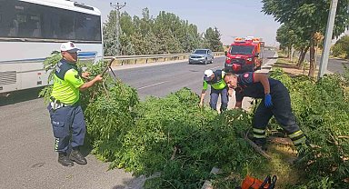 Kuvvetli rüzgar ağacı devirdi