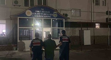Kuyucak'ta ormanlık alanda kenevir yetiştiren şüpheli suçüstü yakalandı