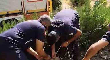 Kuyuya düşen yavru kediyi itfaiye kurtardı