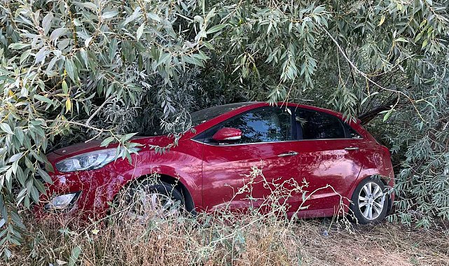 Malatya'da otomobil şarampole devrildi: 1 yaralı