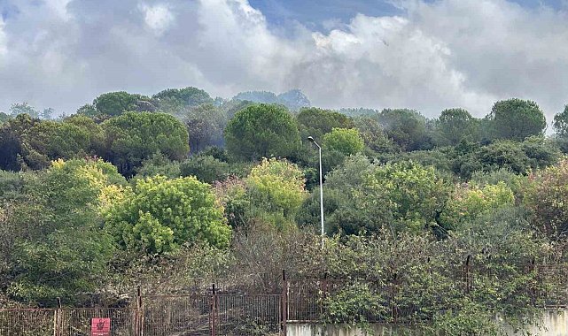 Maltepe'de ormanlık alanda korkutan yangın: Alevler Kenan Evren Kışlası'na sıçradı