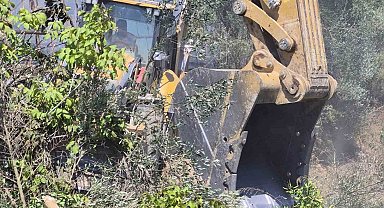 Manavgat'ta zeytinlik yangında 100 ağaç zarar gördü