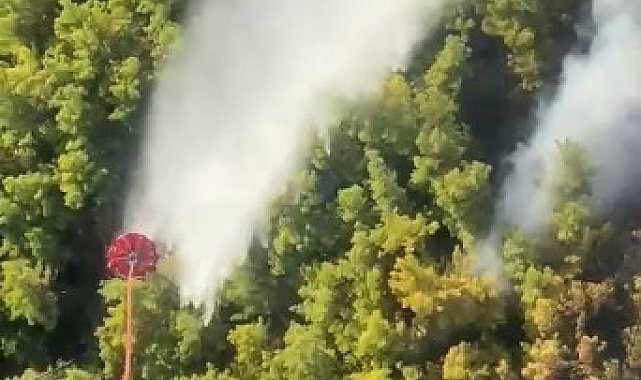 Manavgat'taki orman yangını kontrol altına alındı