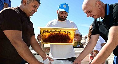 Manisa'da arıcıların peteklerine eksi 30 derecelik koruma