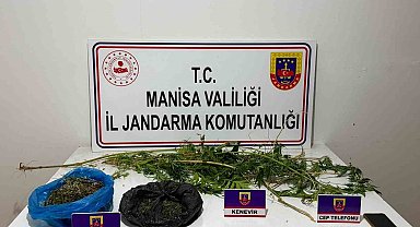 Manisa'da uyuşturucu operasyonu: 1 kişi tutuklandı