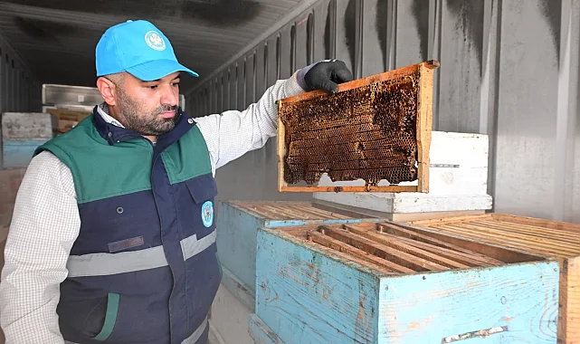 Manisa'da arıcıların peteklerine eksi 30 derecelik koruma