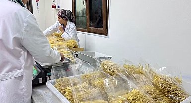 Manyas'ta makarna üretimine yakın inceleme