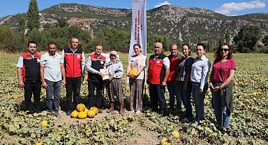 Menteşe Karabağlar yaylasında asırlık lezzetin hasat zamanı