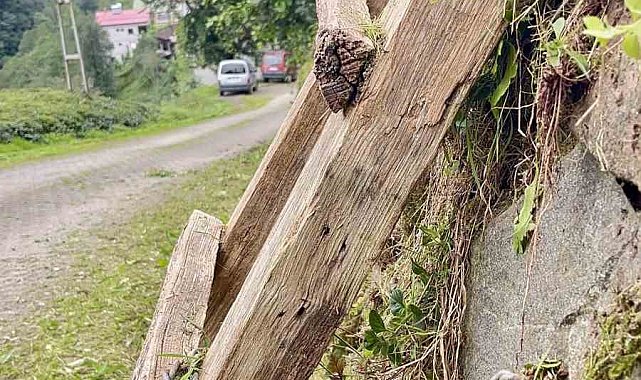Merdiven hırsızlığına "Karadeniz usulü" çözüm: Duvarı deldi, merdiveni zincirledi