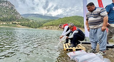 Mersin'de 17 göl ve gölete 347 bin yavru sazan bırakıldı
